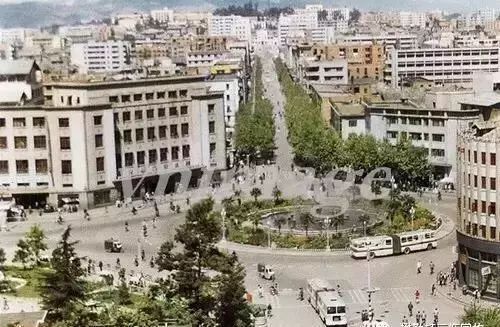 社交媒体项目展示