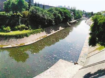 社交媒体项目展示