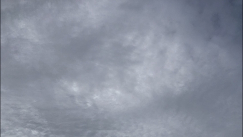 电商平台项目展示